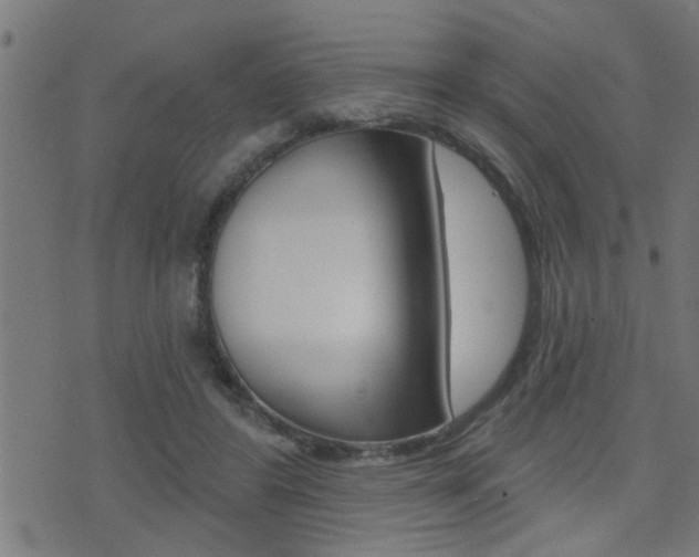 X0000071340404200606230742