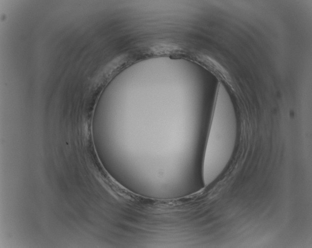 X0000071340405200606230742