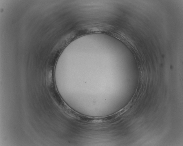 X0000071340406200606230742