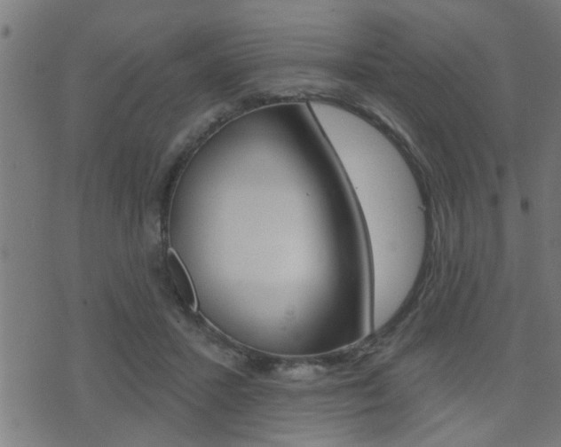 X0000071340407200606230742