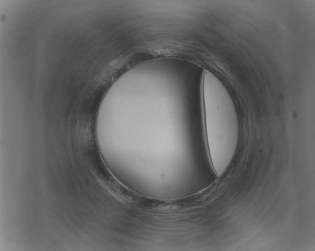 X0000071340408200606230742