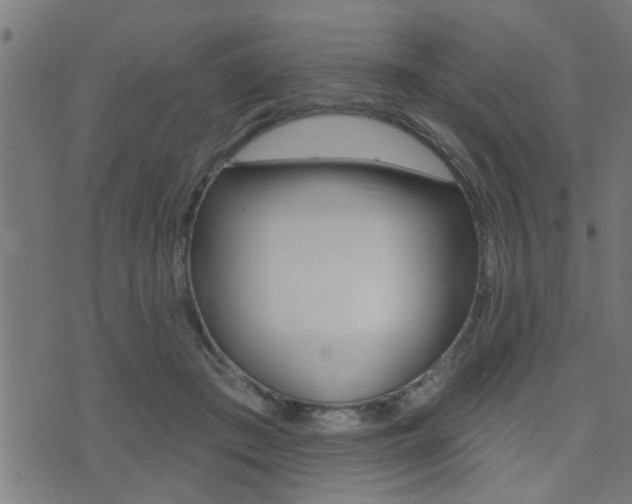 X0000071340409200606230742