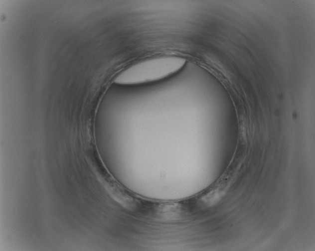 X0000071340410200606230742