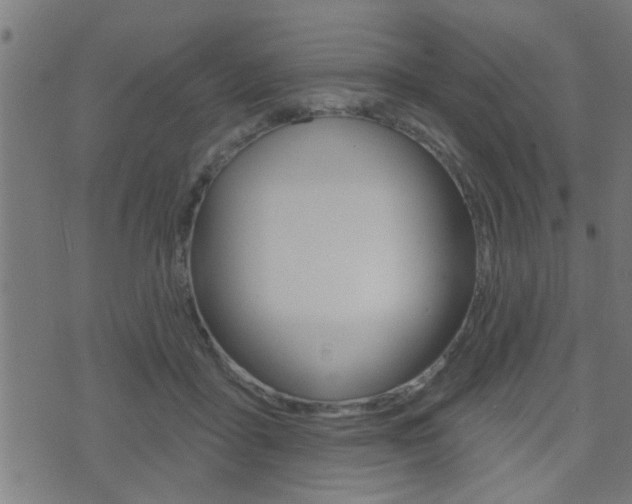 X0000071340411200606230742