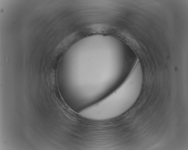 X0000071340413200606230742