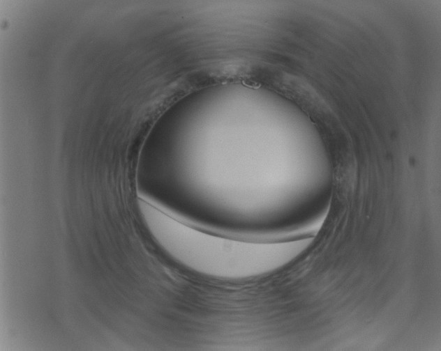 X0000071340416200606230742