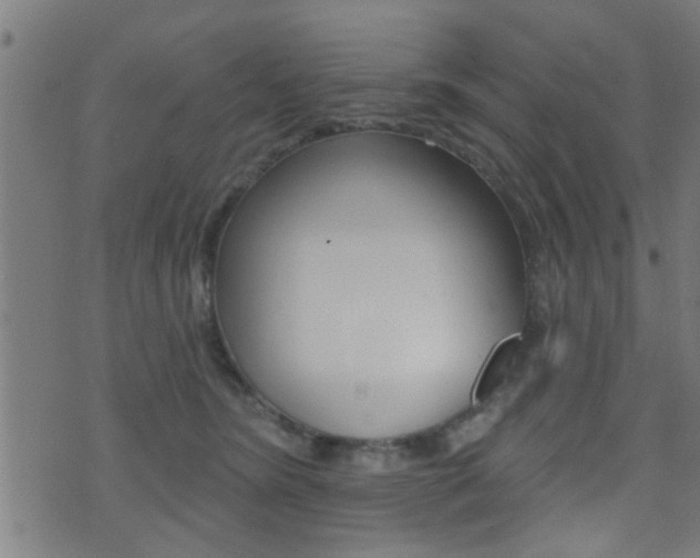 X0000071340420200606230742