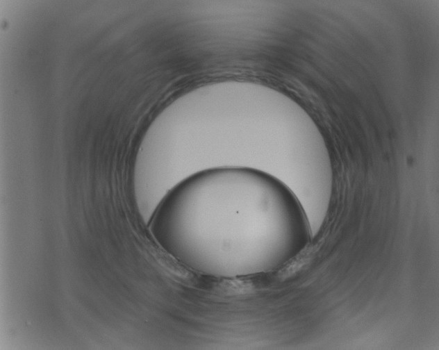 X0000071340421200606230742