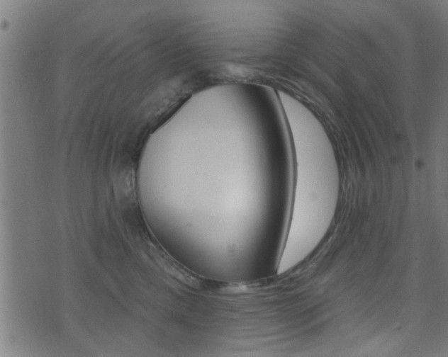 X0000071340425200606230742