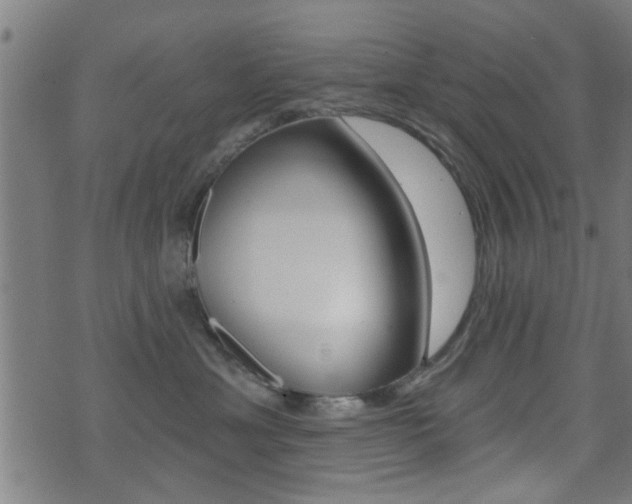 X0000071340429200606230742