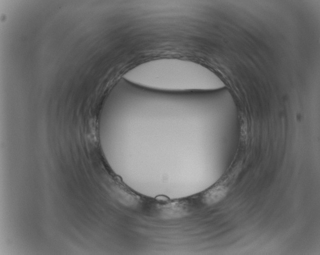 X0000071340430200606230742