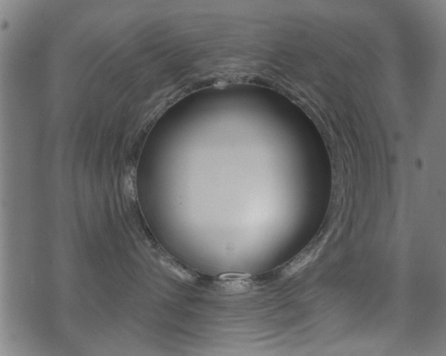 X0000071340432200606230742