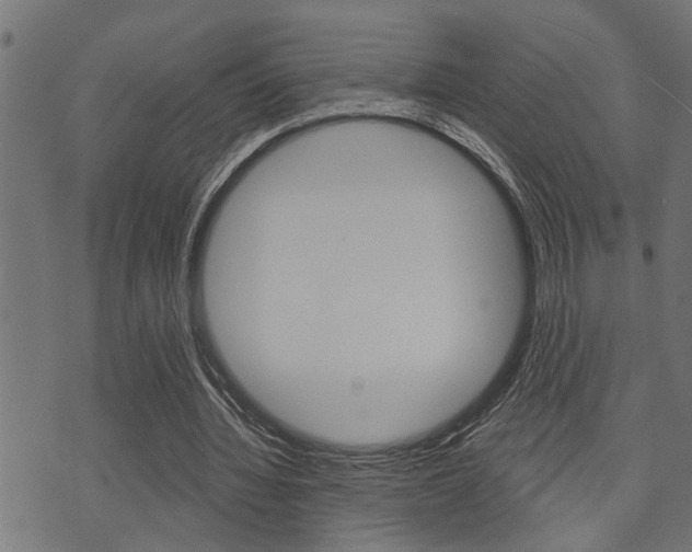 X0000071340436200606230741