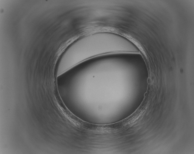 X0000071340437200606230741