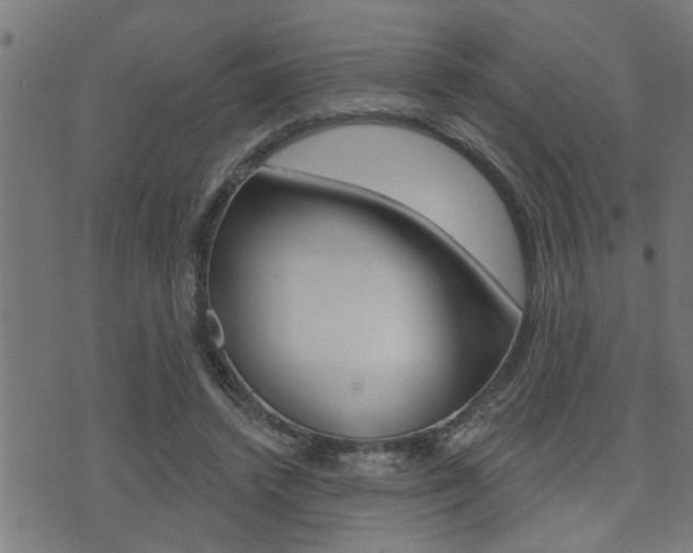 X0000071340448200606230741