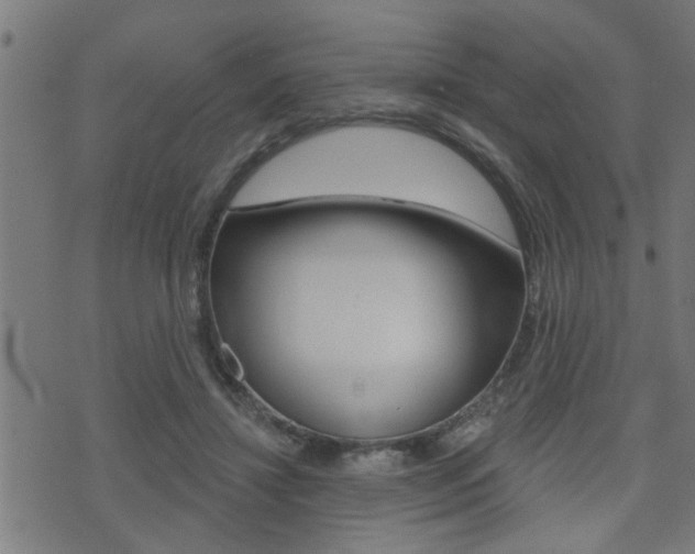 X0000071340452200606230741