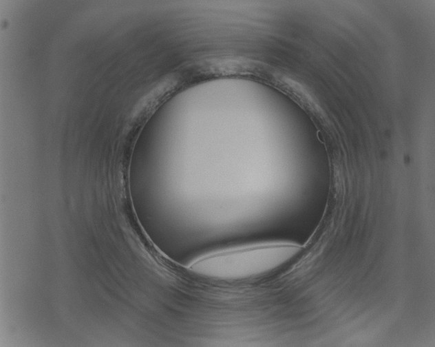 X0000071340453200606230741