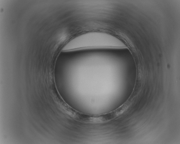 X0000071340457200606230741