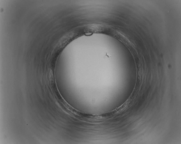 X0000071340459200606230741