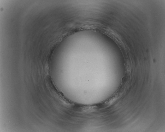 X0000071340465200606230741