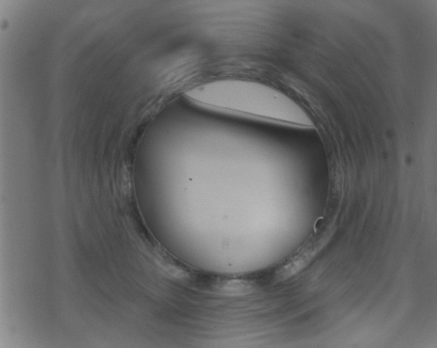 X0000071340467200606230741