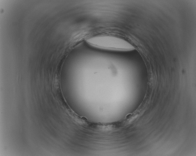 X0000071340469200606230741