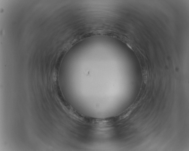 X0000071340472200606230741