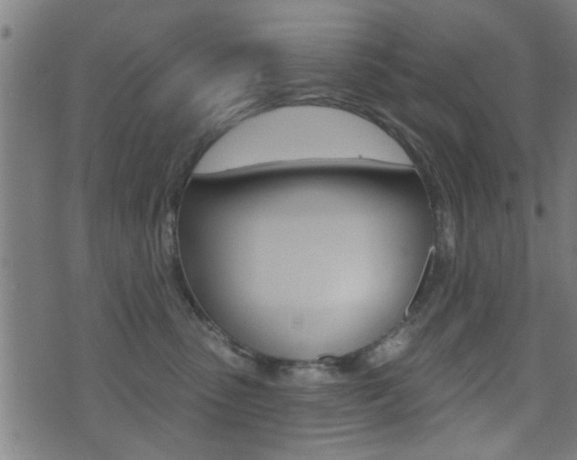 X0000071340475200606230741