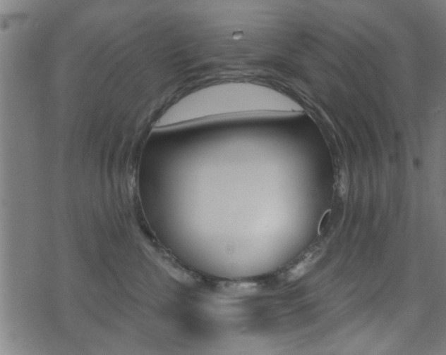 X0000071340476200606230741