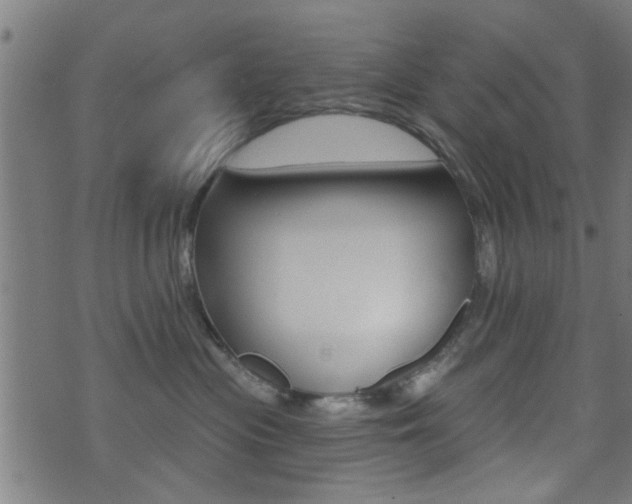 X0000071340477200606230741