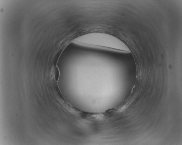 X0000071340478200606230742