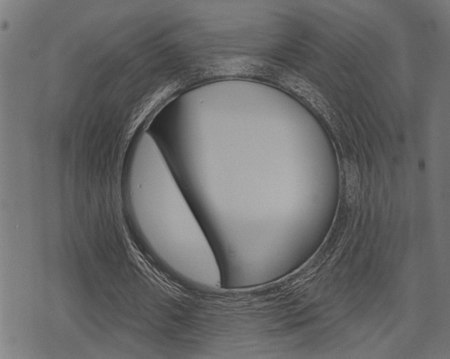 X0000071340482200606230741