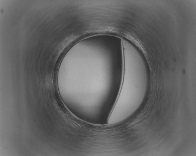 X0000071340483200606230741