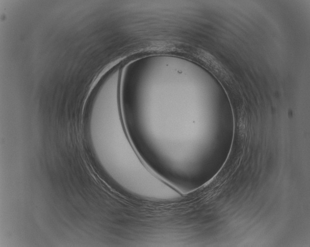 X0000071340484200606230741