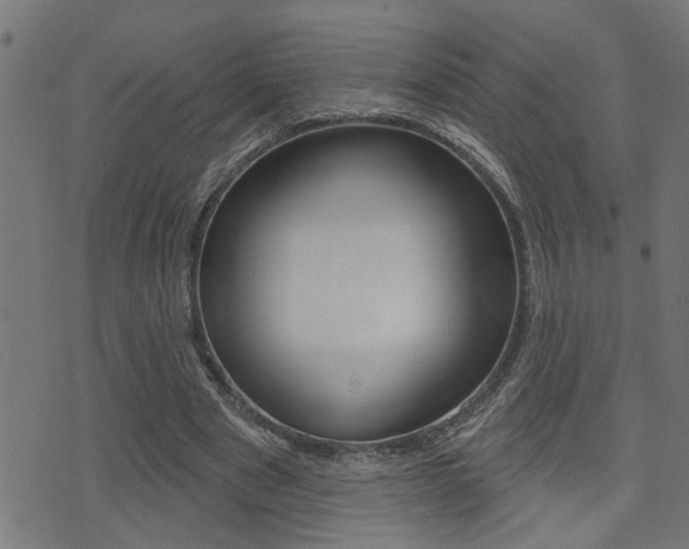 X0000071340489200606230741