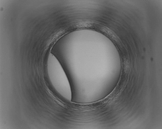 X0000071340490200606230741