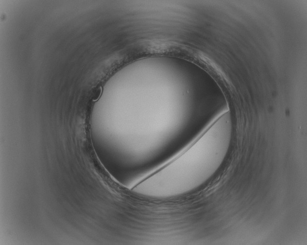 X0000071340497200606230741