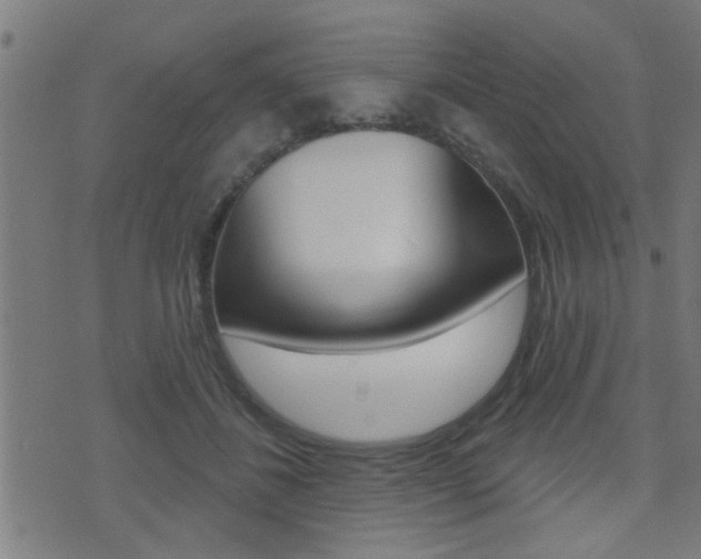 X0000071340508200606230740