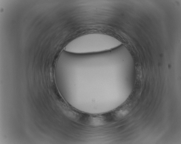 X0000071340510200606230740