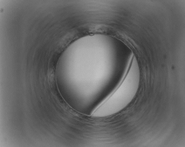 X0000071340513200606230740