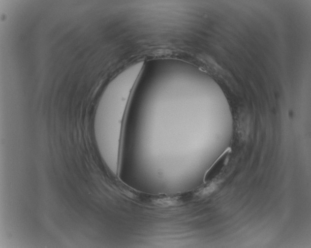 X0000071340516200606230740