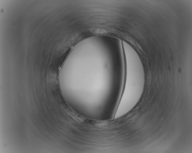 X0000071340521200606230740