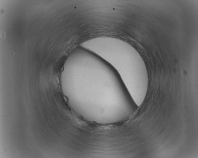 X0000071340523200606230740