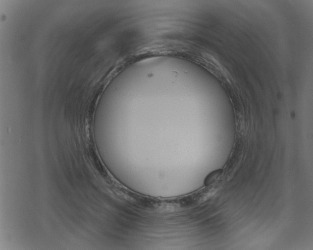 X0000071340549200606230740