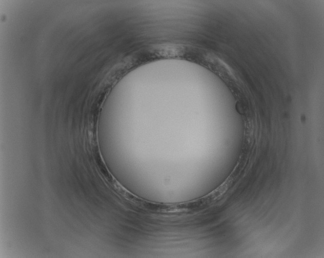 X0000071340553200606230740