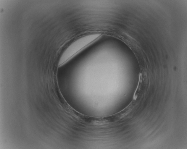 X0000071340556200606230740