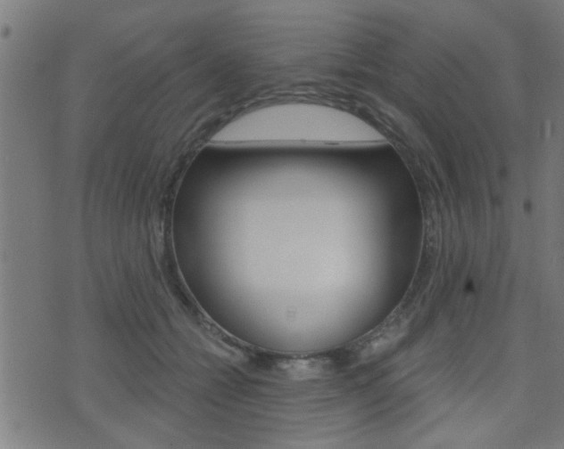 X0000071340558200606230740