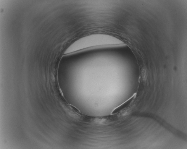 X0000071340570200606230740