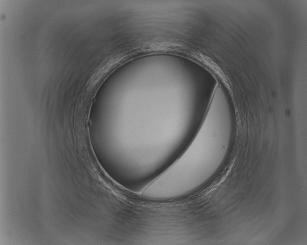 X0000071340577200606230739