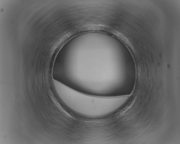 X0000071340581200606230739